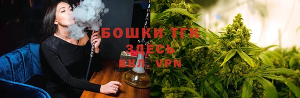 хмурый Лиски