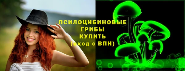 хмурый Лиски