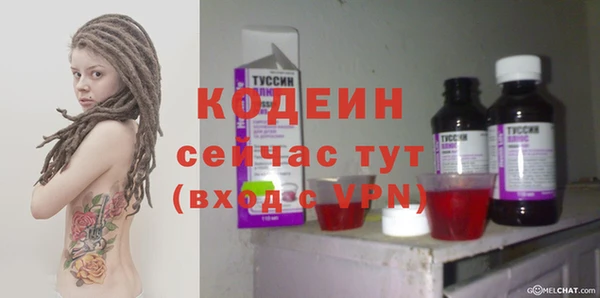 хмурый Лиски