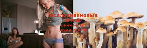хмурый Лиски