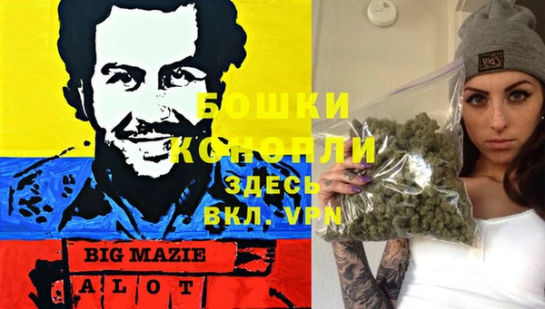 хмурый Лиски
