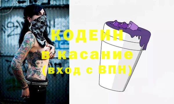 хмурый Лиски