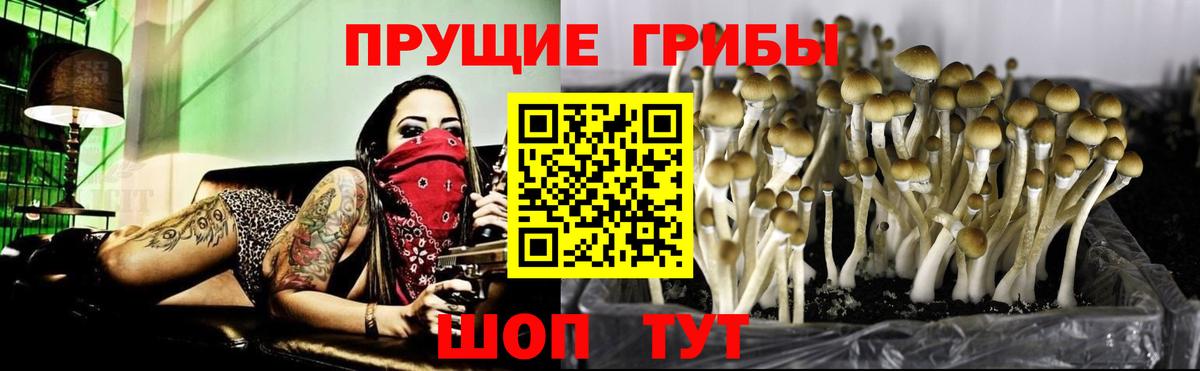 Галлюциногенные грибы мухоморы  Галлюциногенные грибы Psilocybine cubensis  Донской  Вход с VPN 